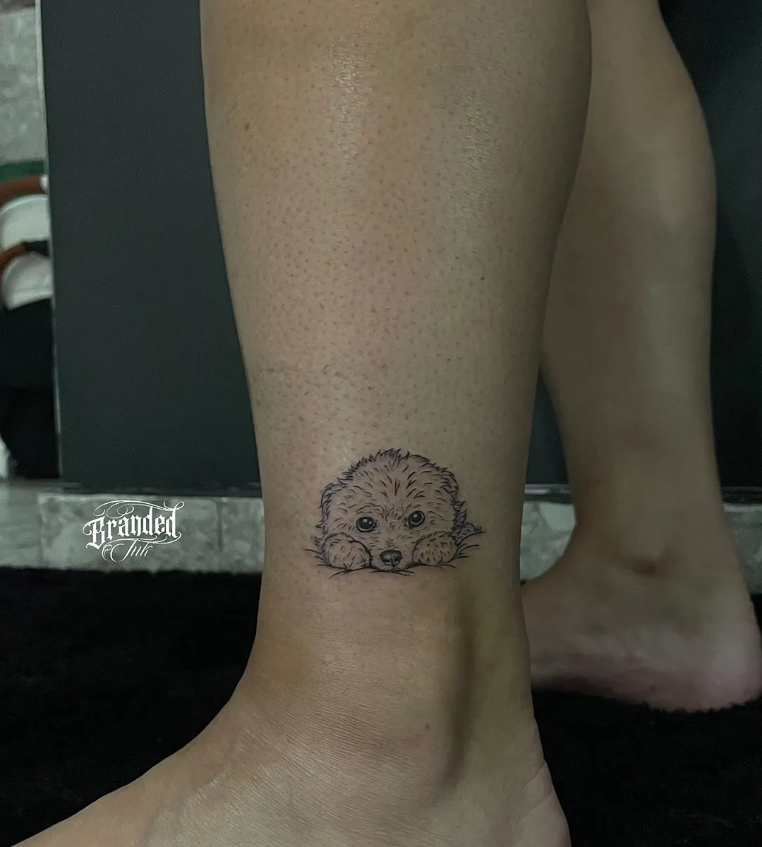 657313672_18043869716757327_5938023443352275516_n_3_11zon_3_11zon