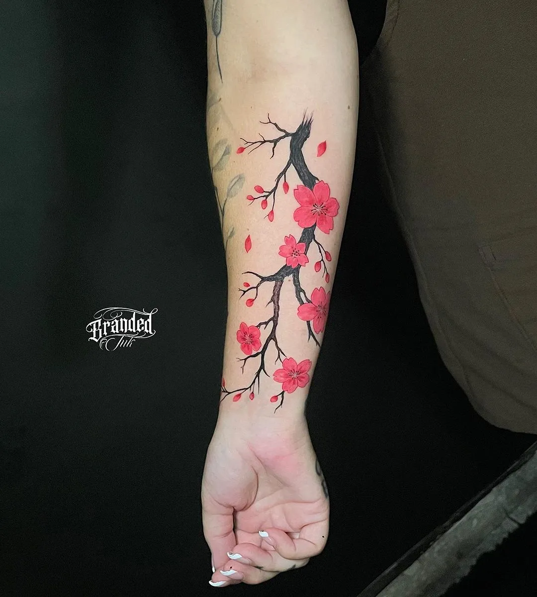 661173940_18044701970757327_4433005995928931163_n_13_11zon_13_11zon