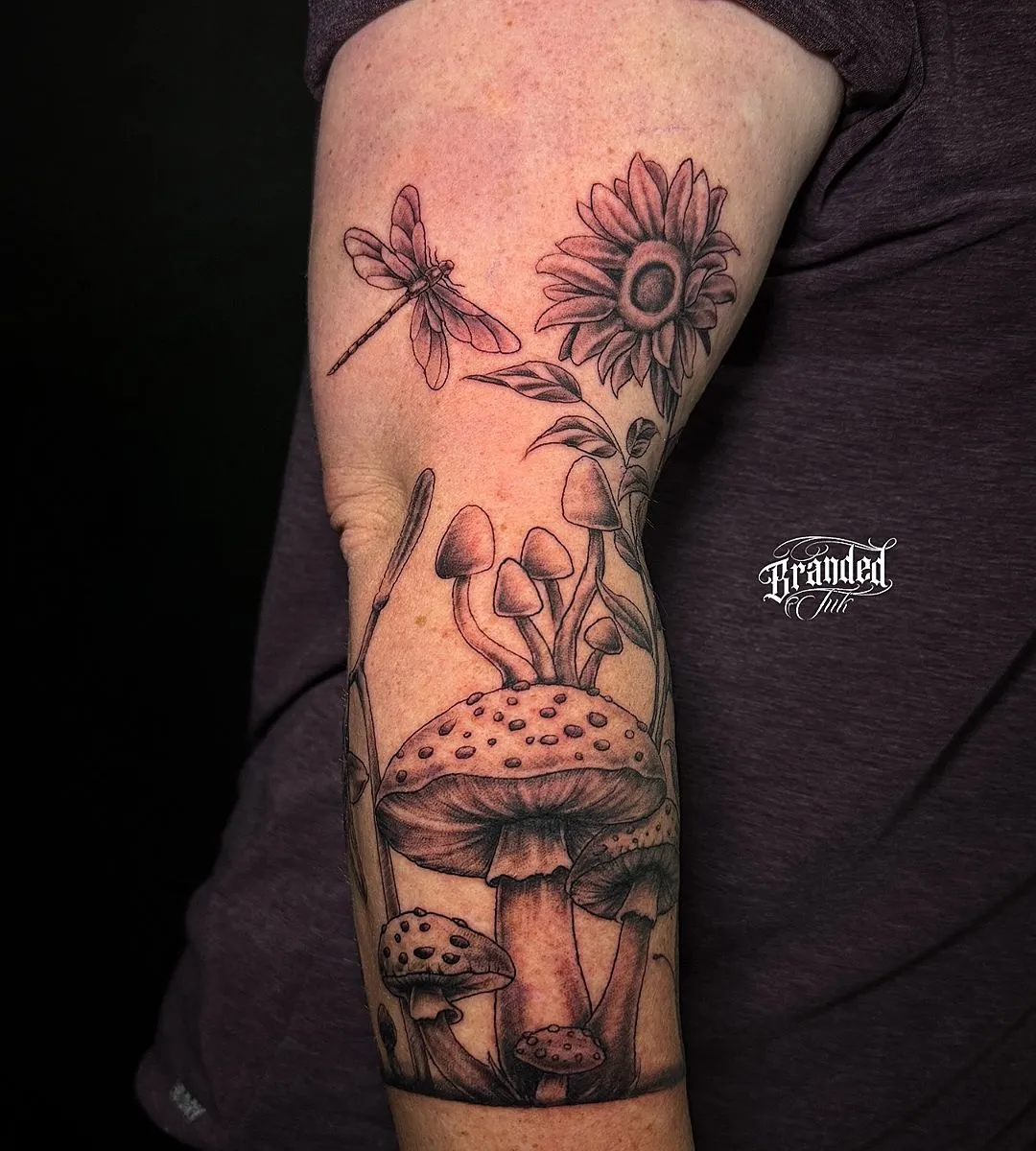 670971066_18046310009757327_8321570260356655260_n_10_11zon_10_11zon